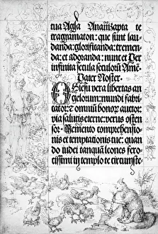 Duerer: Albrecht Duerer