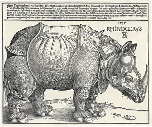 Inaccurate: Albrecht Durer's Rhinoceros