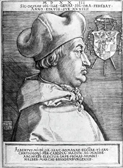 1490: Albrecht II