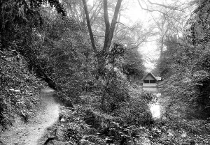 Albury: Albury, the Silent Pool 1911