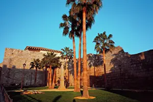 Rahman: Alcazaba of Merida. Spain