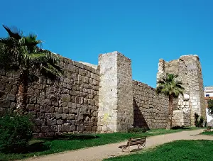 Rahman: Alcazaba of Merida. Spain