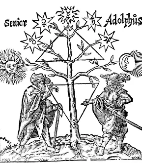 1400s: Alchemical Celestial Tree