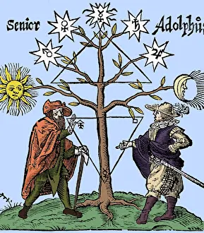 Alchemical: Alchemical Celestial Tree