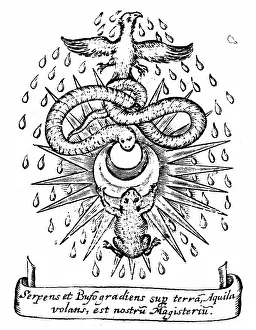 1652: Alchemical symbolism: toad and serpent represent