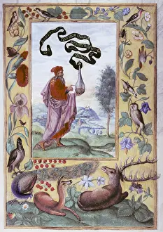 Solis: alchemy, allegory, adept with elixir, miniature