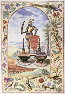 Solis: alchemy, allegory, the double well, miniature
