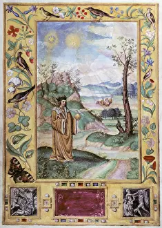 Solis: alchemy, allegory, the old and the young king