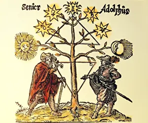 Adept: alchemy, allegory, Senior and Adolphus under