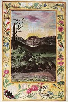 Solis: alchemy, allegory, sinking sun as alchemistial