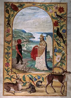 Solis: alchemy, allegory, sublimation and purgation
