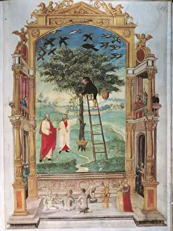 Aeneas: alchemy, allegory, tree of life, Splendor Solis