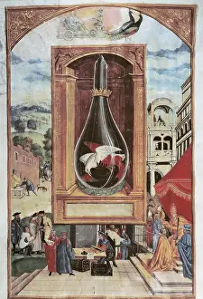 Solis: alchemy, allegory, vial with three ravens, miniature