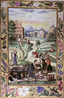 Bleaching: alchemy, allegory, wasing and bleaching women