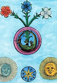 Pseudo: Alchemy Illustration