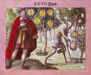 Michal: alchemy, Michael Sendivogius, figure 27, Viridarium