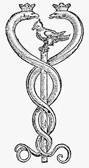 Caduceus: alchemy, symbols, Caduceus, copper engraving