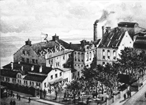 Brew: alcohol, brewery, beer, Schwabing Brew, Munich
