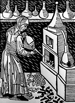 Distiller: alcohol, female distiller at work, 1519