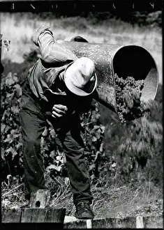 Mosel: Alcohol - Prohibition