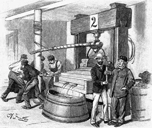 Winery: alcohol, wine, production, pressurage of grapes