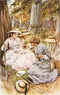 Delectable: ALCOTT / WOMEN - 16