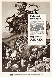 Insecticides: Aldrex by Shell - prevention of Wireworm in Potato crop