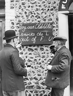 Punning: ALE CURES THE FLU