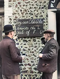 Punning: ALE CURES THE FLU