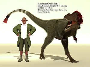 Archaeologist: Alectrosaurus dinosaur size reference chart