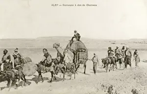 Roadie: Aleppo, Syria - Dancer travelling by Camel