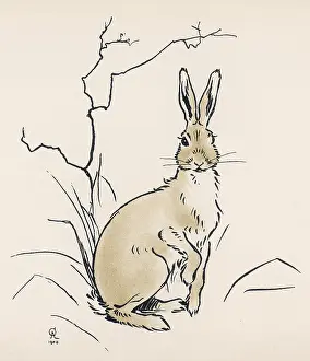 Sensing: Alert hare