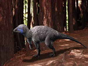Alertness: An alert Kulindadromeus in the woodlands
