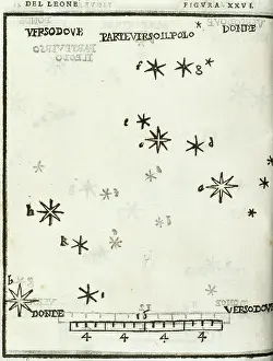 Alessandro: Alessandro Piccolomini (1508-1578). Leo constellation