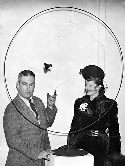 Calder: Alexander Calder