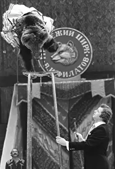 Tsvetnoi: Alexander Filatov and his animals, 1982