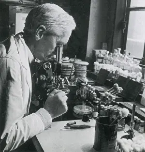 Discoverer: Alexander Fleming, Scottish Biologist