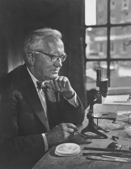 Fleming: Alexander Fleming, Scottish Biologist