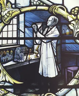 Fleming: Alexander Fleming, Scottish Biologist