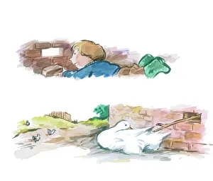 Gander: Alexander and the Gander by Martin Wright