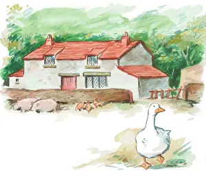 Gander: Alexander and the Gander by Martin Wright