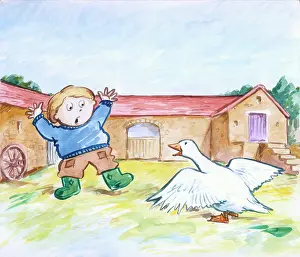 Gander: Alexander and the Gander by Martin Wright