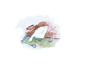 Gander: Alexander and the Gander by Martin Wright