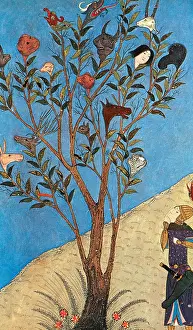 Predict: Alexander the Great at the Oracular Tree