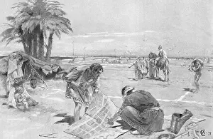 Dinocrates: Alexander the Great plans Alexandria