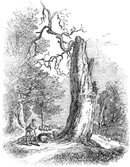 Binfield: ALEXANDER POPE/BINFIELD