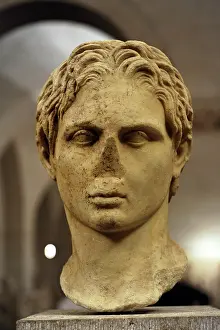 Macedonia: Alexander Schwarzenberg. Head