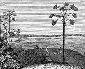 Llanos: Alexander von Homboldt