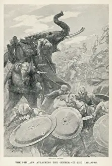 Tusks: ALEXANDER VS ELEPHANTS
