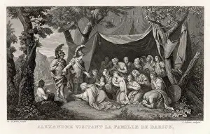 Darius: ALEXANDER&DARIUS FAMILY